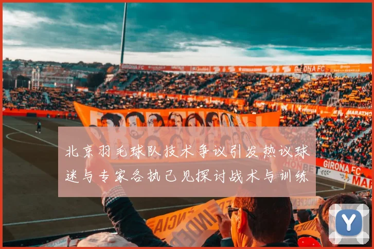 北京羽毛球队技术争议引发热议球迷与专家各执己见探讨战术与训练问题