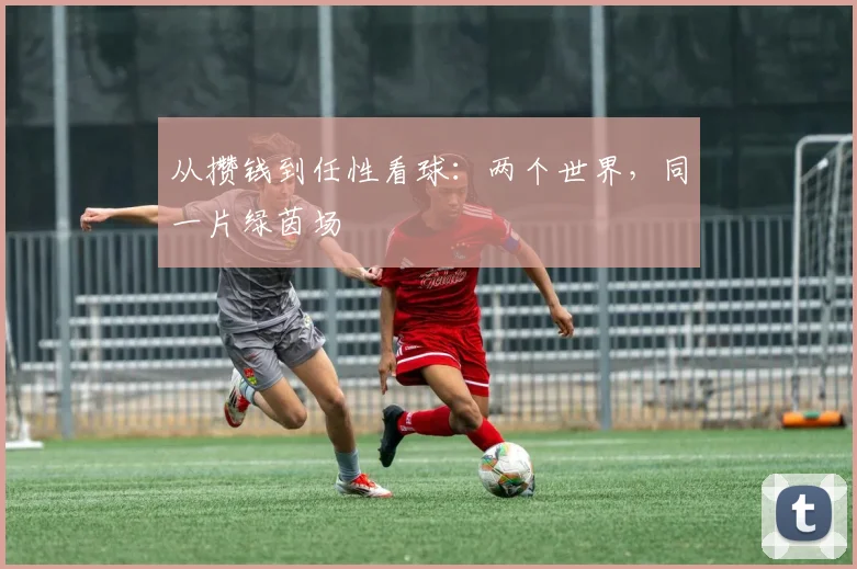 从攒钱到任性看球：两个世界，同一片绿茵场