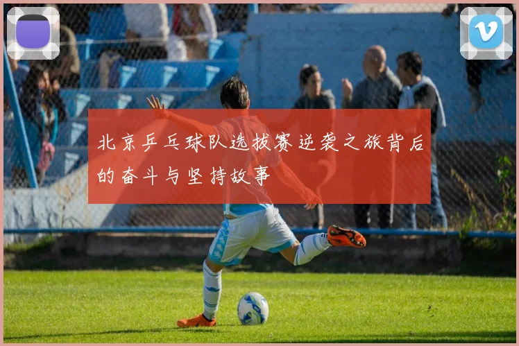 北京乒乓球队选拔赛逆袭之旅背后的奋斗与坚持故事